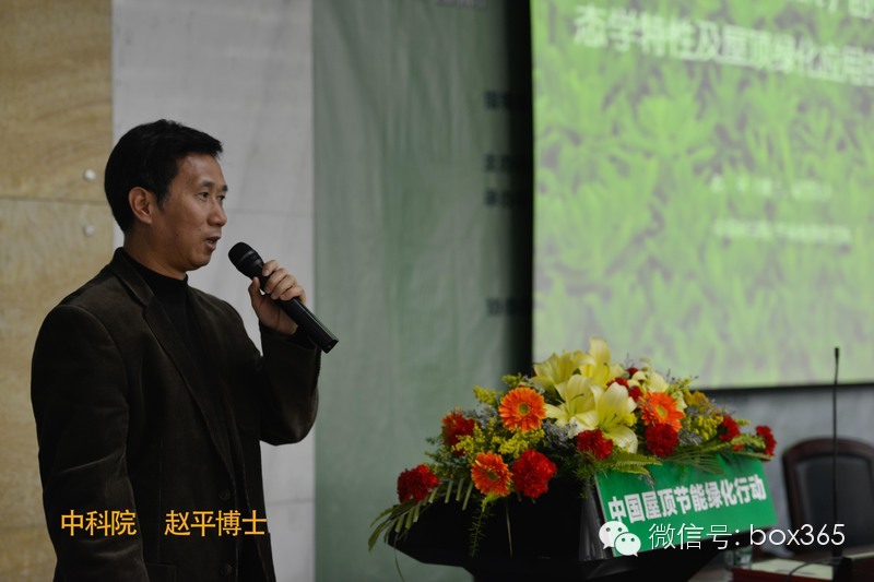 中国科学院华南植物研究所博士研究员赵平为现场嘉宾讲解绿创宝（佛甲草）